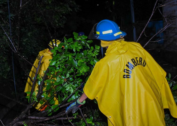 Gobierno desplegó equipos para atender emergencias por lluvias