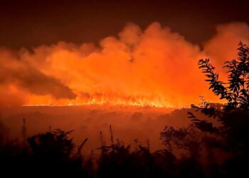 (VIDEOS) Extrema vigilancia en Francia por incendios forestales ante pico de calor