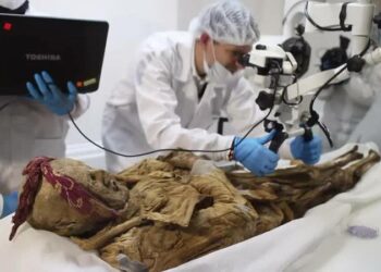 Descubren que una de las momias más famosas de Ecuador no es del siglo XVI y tampoco pertenecería a quien se creía
