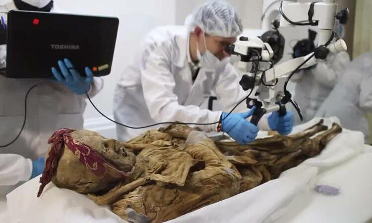 Descubren que una de las momias más famosas de Ecuador no es del siglo XVI y tampoco pertenecería a quien se creía