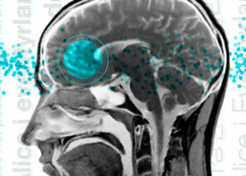 Científicos descubren la molécula que da origen al miedo en el cerebro