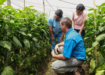Ministro de Agricultura dice esperan una producción agrícola buena a pesar de acumulación de humedad por las lluvias