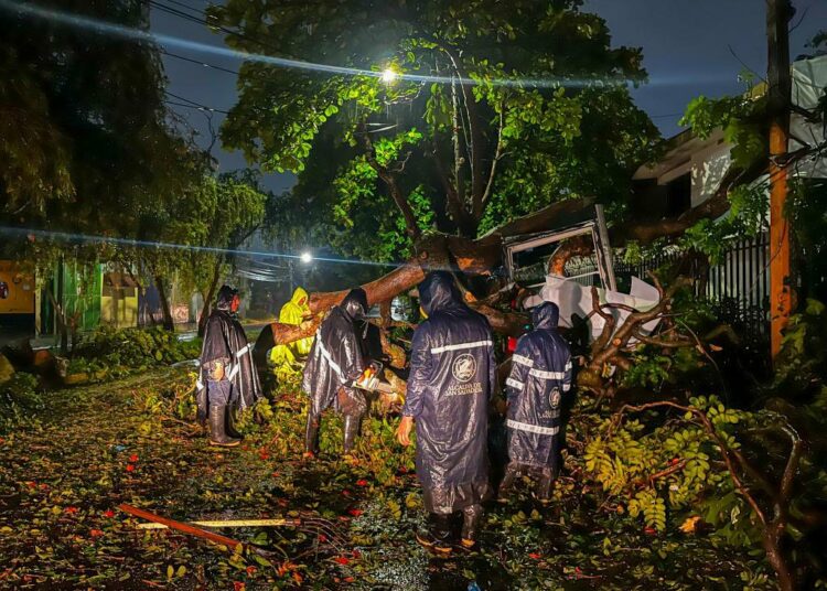 Alcaldía de San Salvador removió cerca de 100 árboles caídos por fuertes lluvias
