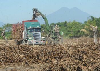 Asamblea aprueba recursos para fortalecer las áreas de salud, sector azucarero y obras de ANDA