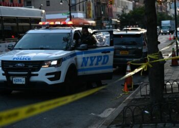 Un cliente enojado porque le sirvieron patatas fritas frías le disparó a un empleado de McDonald’s en Nueva York