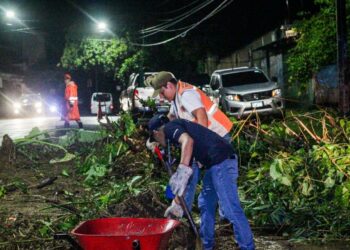 Retiran escombros y un árbol caído sobre km 5 y medio de Los Planes de Renderos