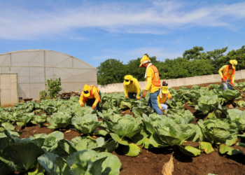 (IMÁGENES) Conozca el trabajo formativo de las mujeres cautivas en las granjas penitenciarias de El Salvador