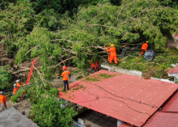 Protección Civil redobla esfuerzos en trabajos de mitigación de riesgos urbanos ante las lluvias