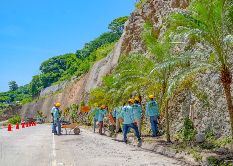 MOP reforesta carretera hacia Surf City con palmeras