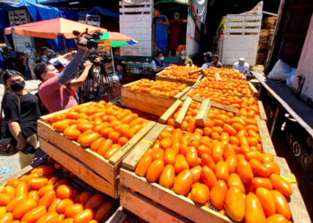 La Defensoría del Consumidor anuncia disminución y estabilización de precios en frutas y verduras