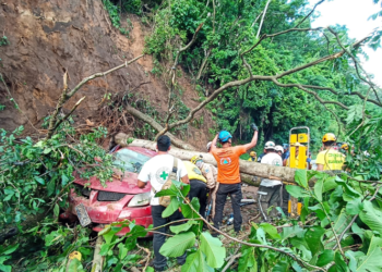 Árbol cae sobre un vehículo en carretera Panamericana cerca del turicentro Los Chorros, el conductor perdió la vida