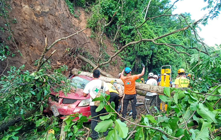 Árbol cae sobre un vehículo en carretera Panamericana cerca del turicentro Los Chorros, el conductor perdió la vida