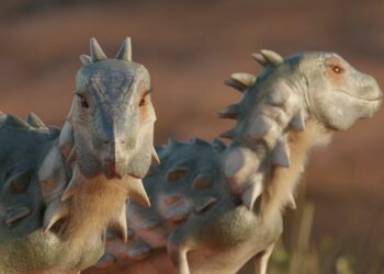 Descubren en Sudamérica una nueva especie de dinosaurios bípedos y acorazados