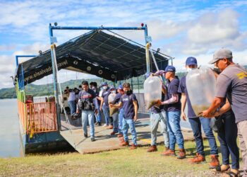 CEL libera más de un millón de alevines en embalses de centrales hidroeléctricas
