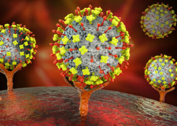 Detectan en China 35 casos en humanos de un nuevo virus de origen animal