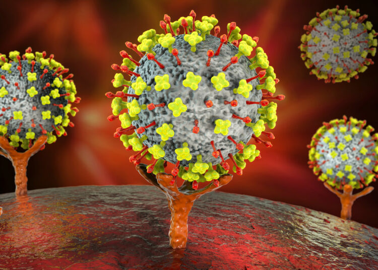 Detectan en China 35 casos en humanos de un nuevo virus de origen animal