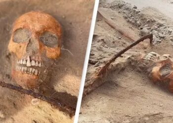 Hallan el esqueleto de una mujer ‘vampiro’ en Polonia con una hoz en el cuello para que no se levante