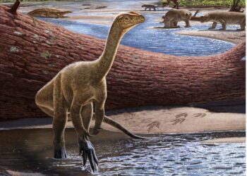 Paleontólogos descubren el dinosaurio más antiguo de África