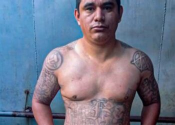 Fuerza Armada ubica a peligroso pandillero en Santa Ana