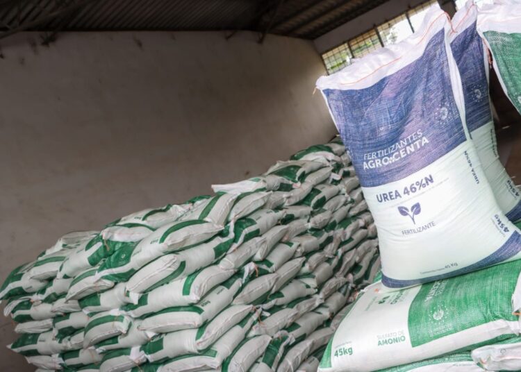 Agricultores ahorrarán hasta un 20 % en compra de agroinsumos en AGROCENTA