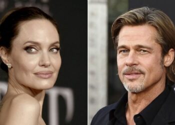 Angelina Jolie demandó a Brad Pitt por 250 millones de dólares
