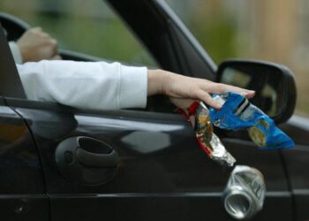 Arrojar basura en la calle podría ser sancionado económicamente o con trabajo de utilidad pública