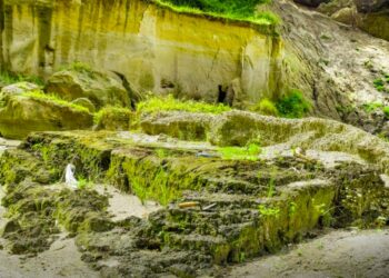 Diputados declaran “zona de interés cultural” al asentamiento prehispánico ubicado bajo la ceniza de la erupción del volcán de Ilopango