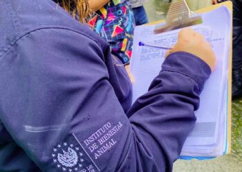Bienestar Animal investiga caso de envenenamiento masivo en colonia Istmania en San Salvador