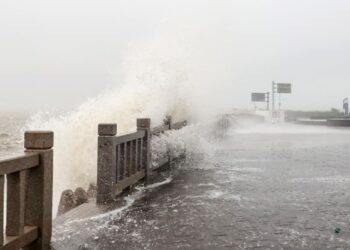 Tifón Muifa azota el este de China y provoca 1,6 millones de desplazados