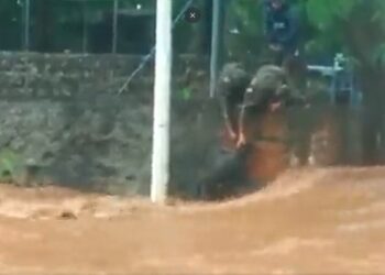 Elementos de la Fuerza Armada rescatan a perrito que era arrastrado por corriente de un río