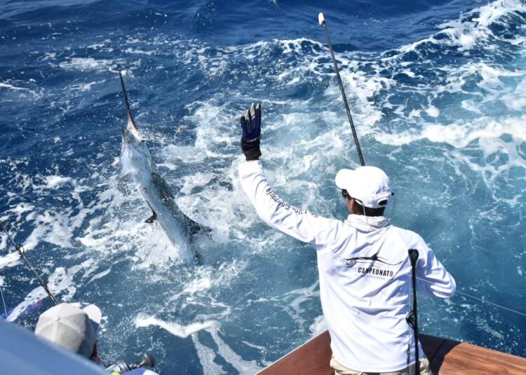 Ya se prepara el torneo internacional de la pesca del Marlin