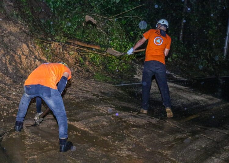 Protección Civil destaca disminución en la incidencia de árboles caídos e inundaciones gracias a labores de mitigación
