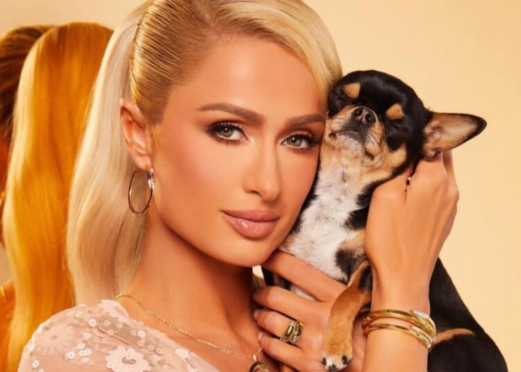 Paris Hilton contrata un detective de mascotas para encontrar a su perrito