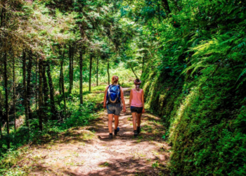Científicos descubren por qué nuestro cerebro necesita de caminatas entre la naturaleza