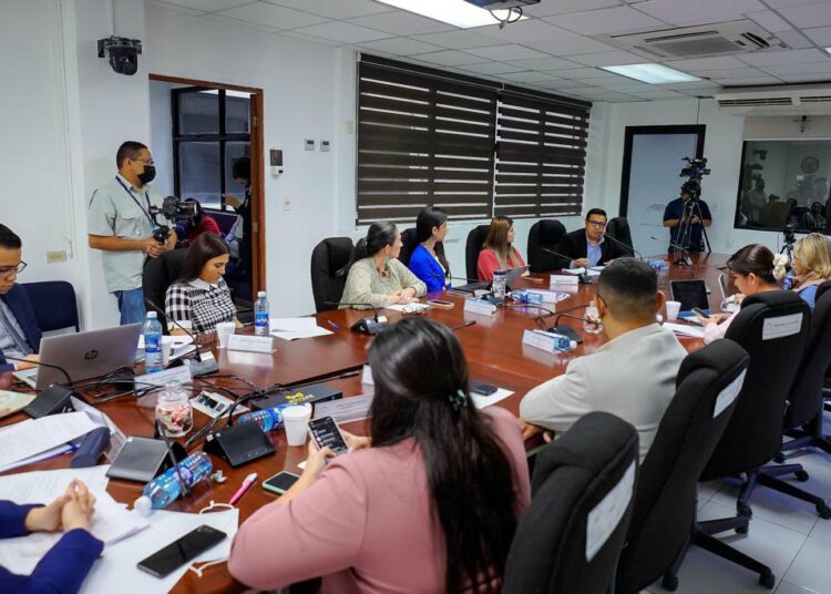 Comisión de la Familia recibe a sectores para discutir la Ley Amor para fomentar la lactancia materna