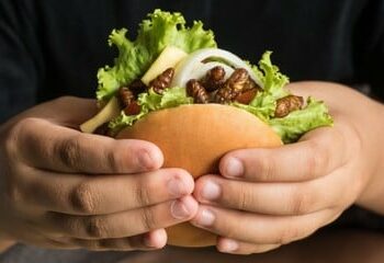 Un restaurante en Tailandia ofrece hamburguesas con grillos que no crujen