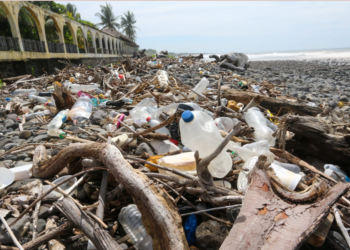 Día Mundial de las Playas: MITUR hace llamado a no ensuciarlas
