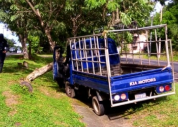 Conductor resulta herido al estrellarse contra árboles a la altura de San Rafael Cedros