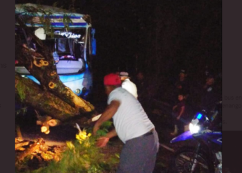 PNC reporta la caída de un árbol sobre un bus con excursionistas, no hay heridos