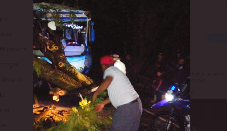 PNC reporta la caída de un árbol sobre un bus con excursionistas, no hay heridos