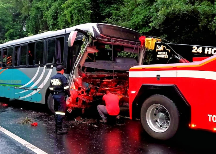 Dos Lesionados Deja Choque De Bus Contra árbol Caído Sobre La Carretera