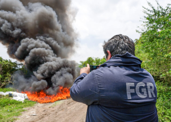 La Fiscalía incinera marihuana valorada en $227 mil