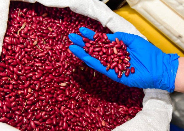 Defensoría del Consumidor verifica precios de artículos de la canasta básica en el mercado Central de San Salvador