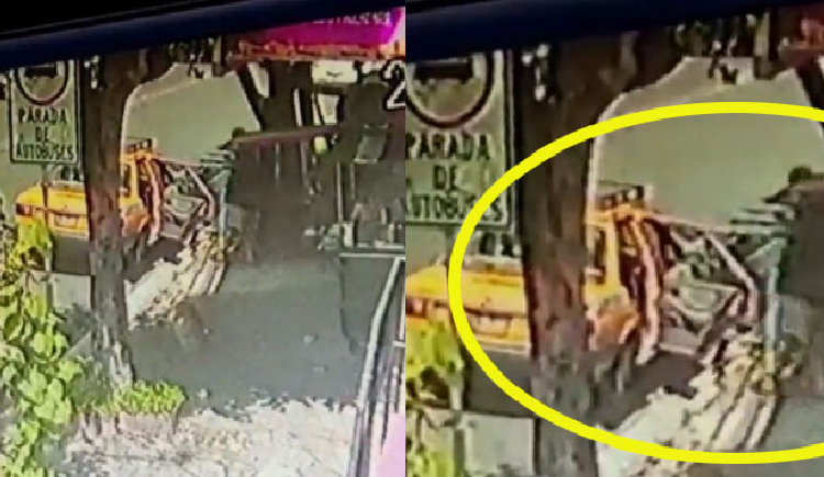 VIDEO: Cámaras de seguridad captan a taxista mientras roba tambo de gas de un comedor