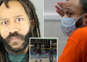 Jurado declara culpable a conductor que mató a seis personas durante un desfile en EEUU