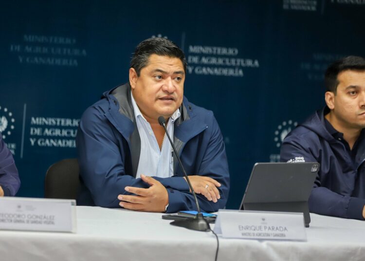 Ministerio de Agricultura presenta afectaciones en los cultivos luego del paso de la Depresión Tropical Julia