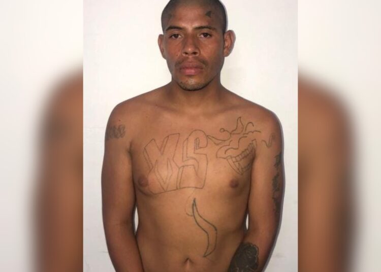 Capturan a peligroso pandillero en La Unión