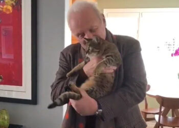 Fallece el gatito de Anthony Hopkins y él le rinde homenaje con un emotivo video