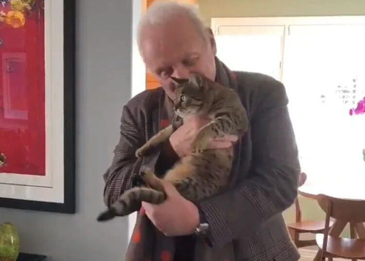 Fallece el gatito de Anthony Hopkins y él le rinde homenaje con un emotivo video