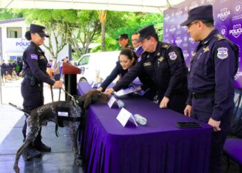 Autoridades condecoran a agentes caninos destacados en la detección de narcóticos y rescate de personas